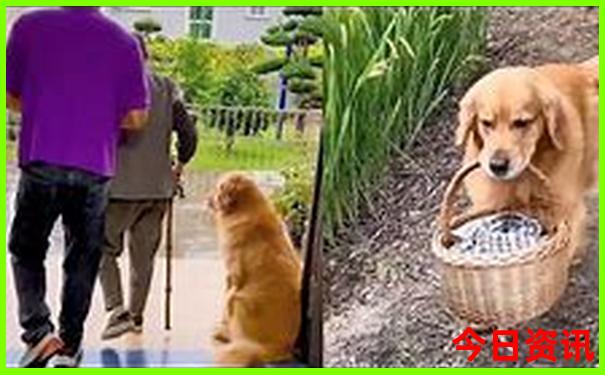 贵阳游玩攻略必玩的景点